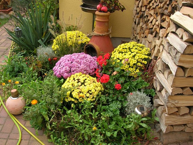 Gartenfreuden, Gartenfrust - welcher Fachmann hilft? (Foto: Ilona Glashagel)