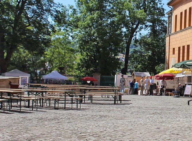 Wo blieb der Sonnenschutz? (Foto: Karl-Heinz Herrmann)
