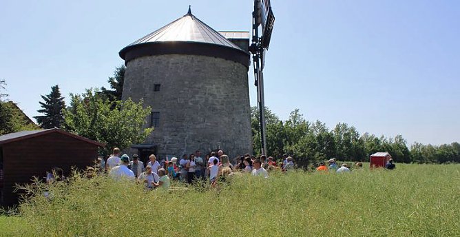 Neues von der M&uuml;hle Immenrode (Foto: Karl-Heinz Herrmann)