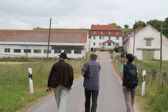 Vogel des Jahres – der Grünspecht (Foto: Michael Kriese) Vogel des Jahres – der Grünspecht (Foto: Michael Kriese)