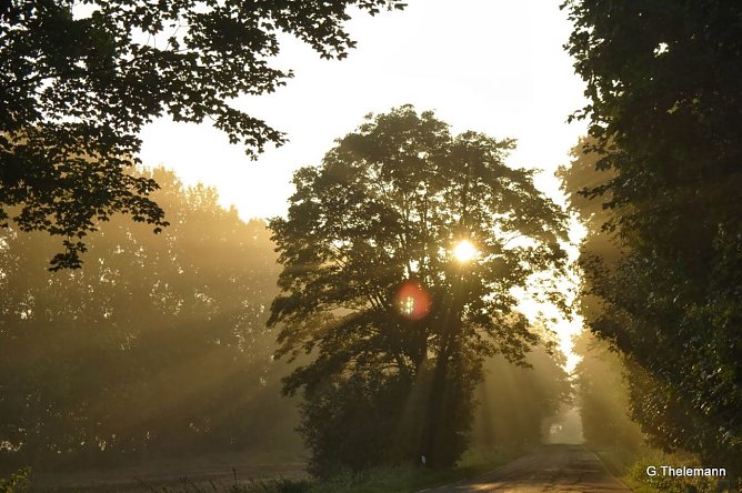 Wetter-Bild (Foto: Gernot Thelemann) Wetter-Bild (Foto: Gernot Thelemann)