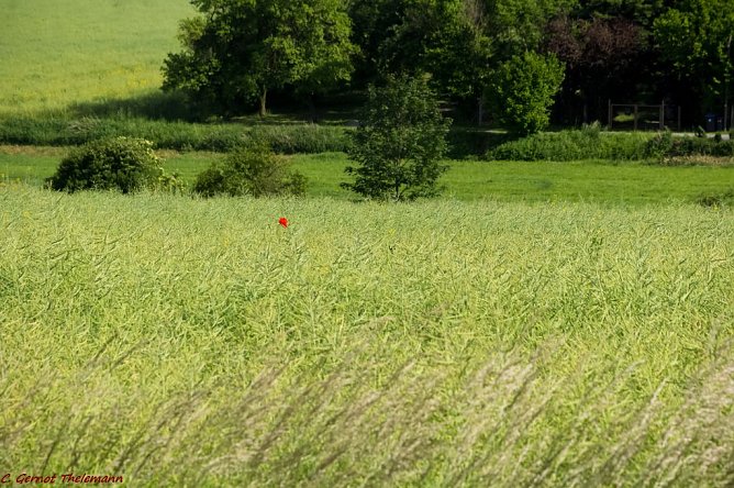 Wetter-Bild (Foto: Gernot Thelemann)