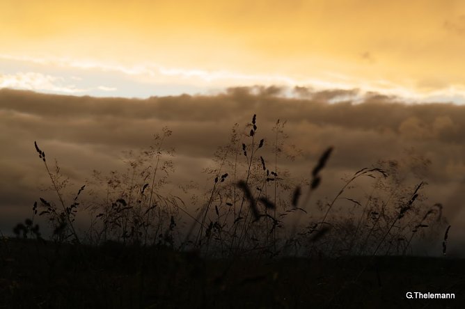 Wetter-Bild (Foto: Gernot Thelemann)