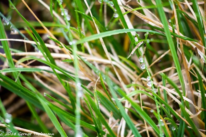Wetter-Bild (Foto: Gernot Thelemann)