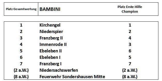 Ergebnisse des Kreiswettbewerbs 2014 (Foto: DRK Sondershausen) Ergebnisse des Kreiswettbewerbs 2014 (Foto: DRK Sondershausen)