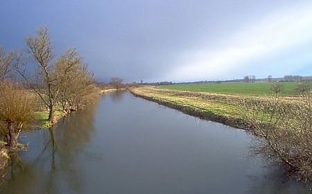 6. Entenrennen (Foto: Eric May) 6. Entenrennen (Foto: Eric May)