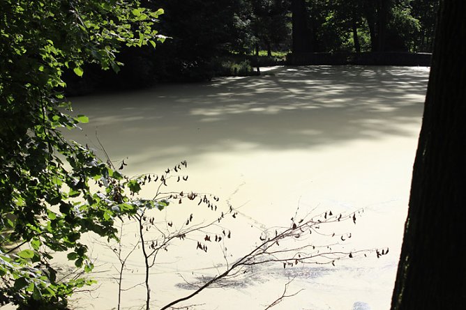 Farbspiele (Foto: Karl-Heinz Herrmann) Farbspiele (Foto: Karl-Heinz Herrmann)