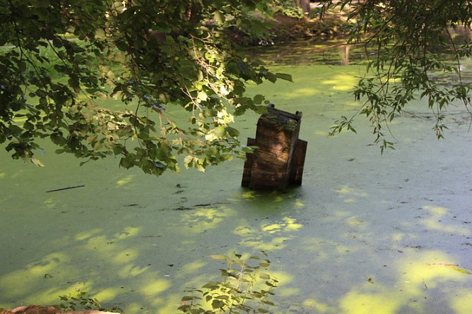 Farbspiele (Foto: Karl-Heinz Herrmann) Farbspiele (Foto: Karl-Heinz Herrmann)