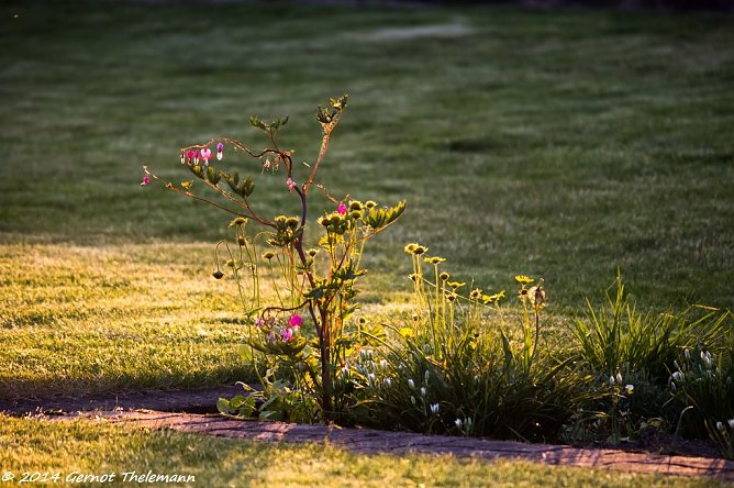 Wetterbild (Foto: Gernot Thelemann) Wetterbild (Foto: Gernot Thelemann)