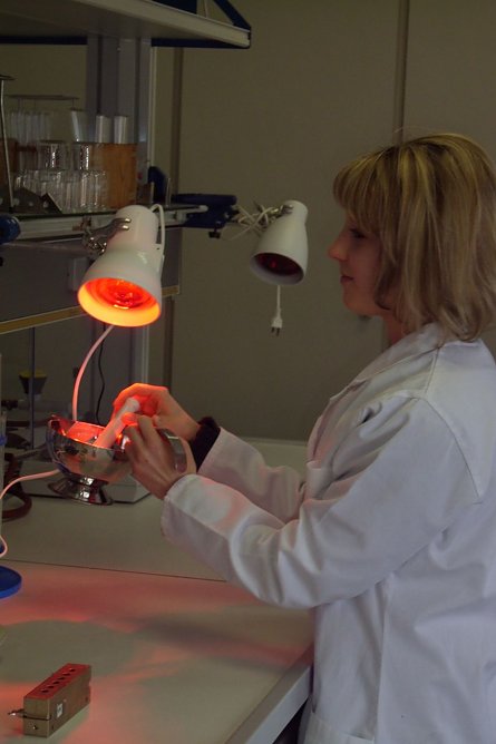 Letzte Chance (Foto: Stadt Bad Frankenhausen)