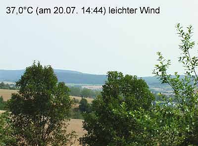 Wer bietet mehr? (Foto: Karl-Heinz Herrmann)