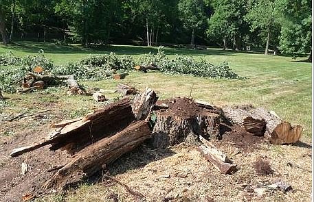 Muss etwas getan werden? (Foto: Karl-Heinz Herrmann) Muss etwas getan werden? (Foto: Karl-Heinz Herrmann)