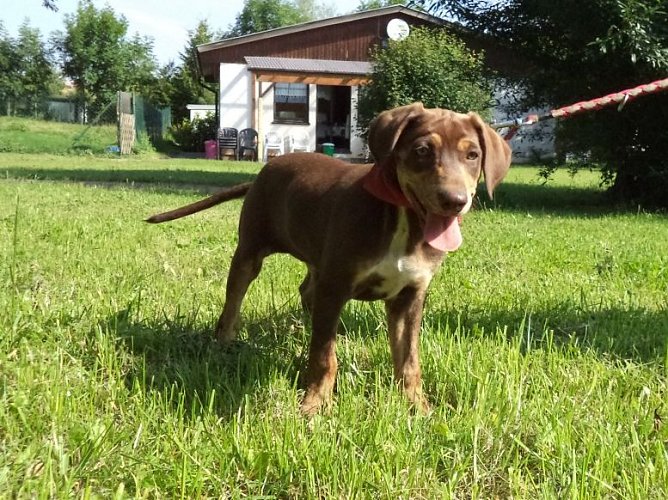 Tosca (Foto: C. Knust)