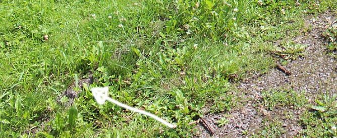 Stolperfalle Kriegerdenkmal? (Foto: Karl-Heinz Herrmann)