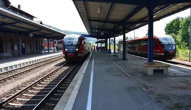 Nicht ausdünnen (Foto: A. Wieninger) Nicht ausdünnen (Foto: A. Wieninger)