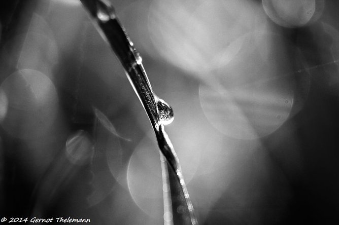 Wetter-Bild (Foto: Gernot Thelemann) Wetter-Bild (Foto: Gernot Thelemann)