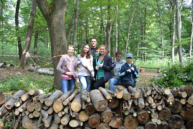 Internationales Workcamp im KiEZ Ferienpark Feuerkuppe (Foto: Kiez Ferienpark)