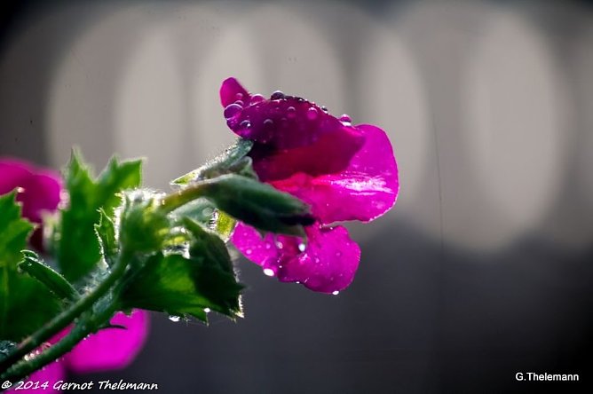 Wetter-Bild (Foto: Gernot Thelemann) Wetter-Bild (Foto: Gernot Thelemann)