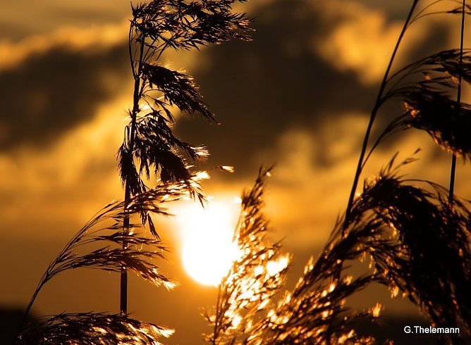 Wetter-Bild (Foto: Gernot Thelemann)