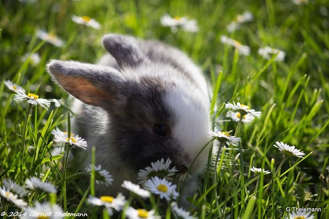 Wetter-Bild (Foto: Gernot Thelemann)
