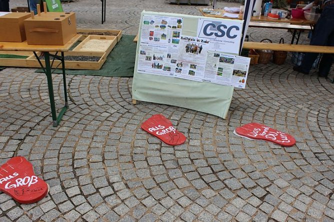 Besuch beim Pflanzenmarkt lohnt (Foto: Karl-Heinz Herrmann) Besuch beim Pflanzenmarkt lohnt (Foto: Karl-Heinz Herrmann)