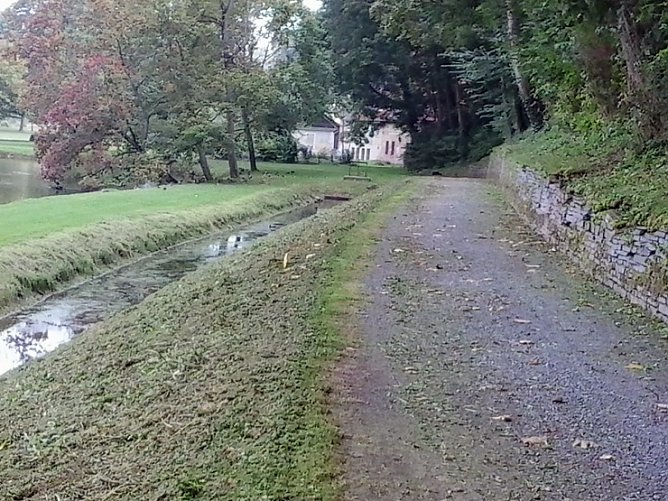 Schlechtes Wasser wegen Grasmahd? (Foto: privat)