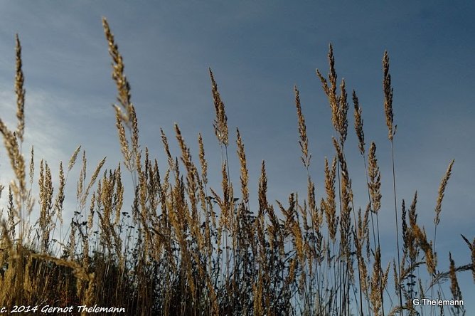 Wetter-Bild (Foto: Gernot Thelemann) Wetter-Bild (Foto: Gernot Thelemann)