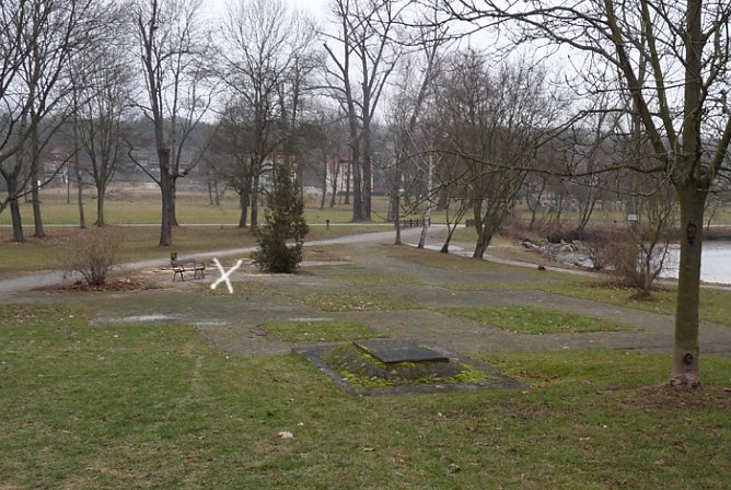 Baumf&auml;llen am Parkteich (Foto: Karl-Heinz Herrmann)