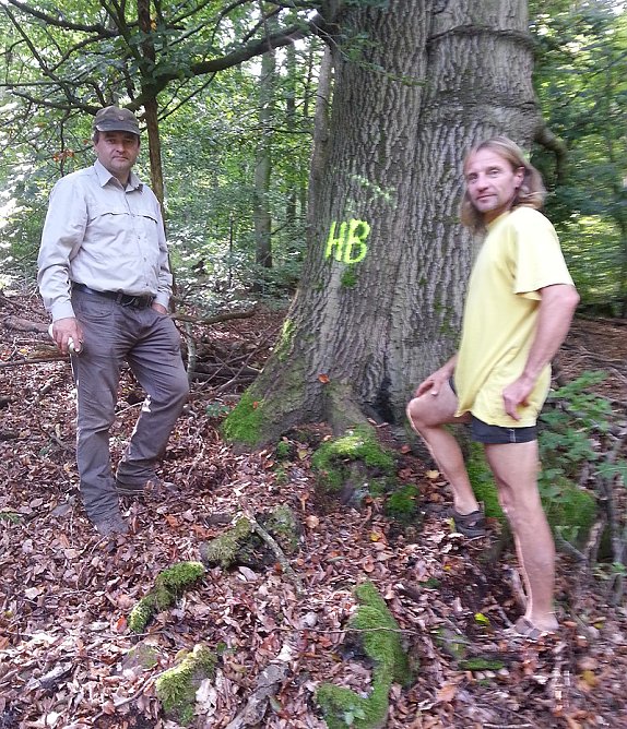 NABU und Th&uuml;ringer Forstamt zu Holzeinschlag (Foto: Olaf Player)