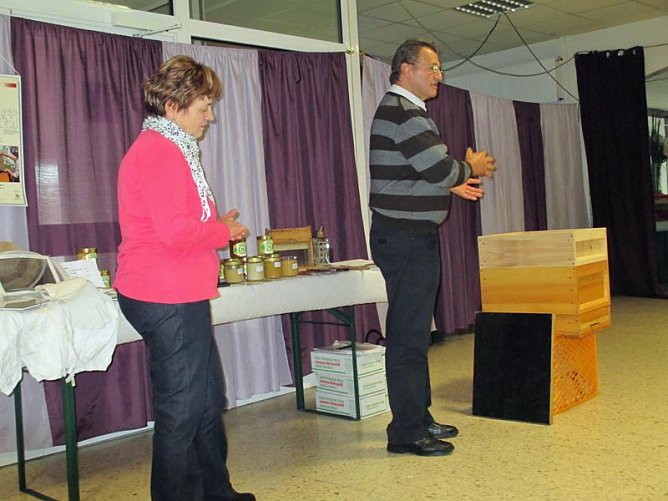 &Uuml;ber Bienen und Bl&uuml;ten (Foto: Ina R&ouml;mer)