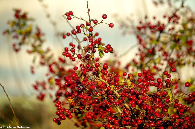 Wetter-Bild (Foto: Gernot Thelemann)
