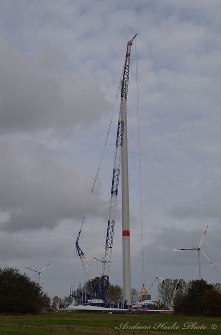 Man ist der Fl&uuml;gel lang!!! (Foto: Andreas Hocke)