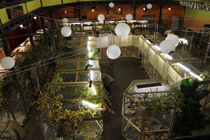 Zauberhafte Ausstellung (Foto: Karl-Heinz Herrmann)