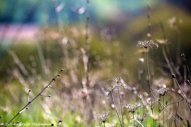 Wetter-Bild (Foto: Gernot Thelemann) Wetter-Bild (Foto: Gernot Thelemann)