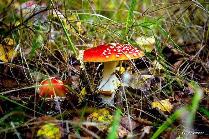 Wetterbild (Foto: Gernot Thelemann) Wetterbild (Foto: Gernot Thelemann)