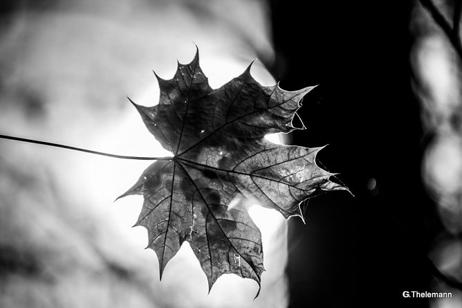 Wetterbild (Foto: Gernot Thelemann) Wetterbild (Foto: Gernot Thelemann)