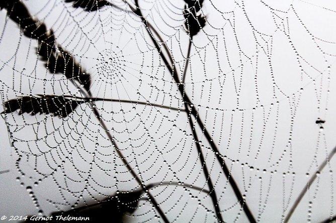 Wetter-Bild (Foto: Gernot Thelemann) Wetter-Bild (Foto: Gernot Thelemann)