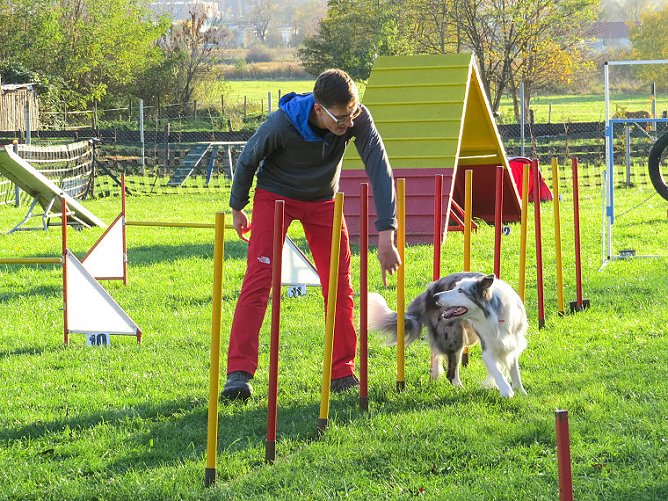Agility Fun-Turnier in der Hundeschule ABC (Foto: Stadt Bad Frankenhausen)