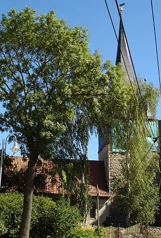 &Ouml;kumenischer Gottesdienst (Foto: Karl-Heinz Herrmann)