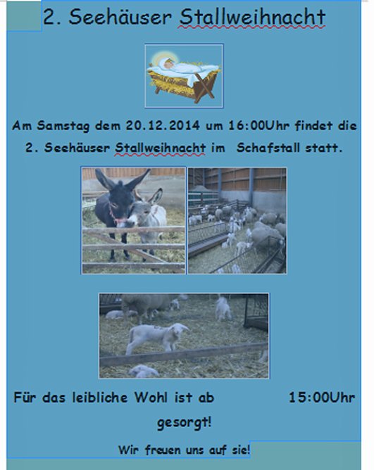 2. Seeh&auml;user Stallweihnacht (Foto: Kerstin Hesse)