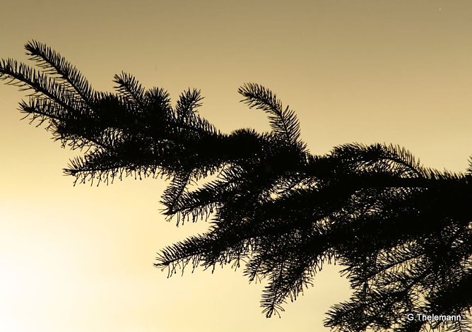 Wetter-Bild (Foto: Gernot Thelemann)