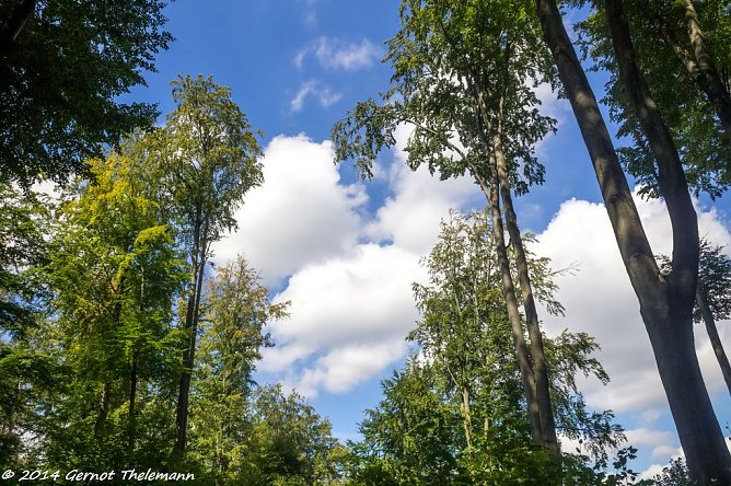 Wetterbild (Foto: Gernot Thelemann) Wetterbild (Foto: Gernot Thelemann)