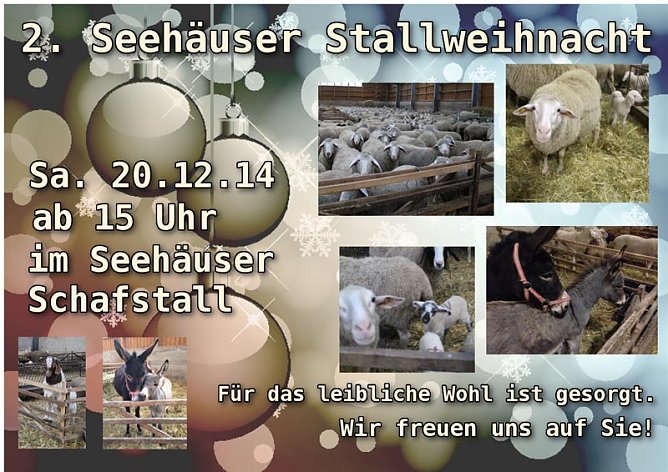 2. Seehäuser Stallweihnacht (Foto: Privat) 2. Seehäuser Stallweihnacht (Foto: Privat)