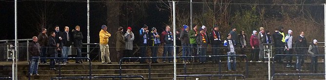 Die treuen Wacker Fans sind auch in Babelsberg (Foto: nnz)