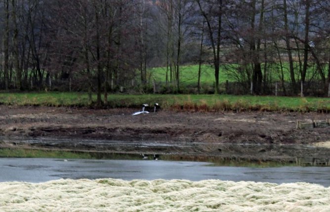 Premiere am Bebraer Teich (Foto: Karl-Heinz Herrmann) Premiere am Bebraer Teich (Foto: Karl-Heinz Herrmann)