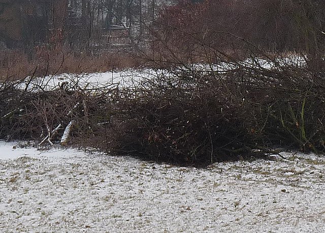 Baumschnitt für Osterfeuer (Foto: Karl-Heinz Herrmann) Baumschnitt für Osterfeuer (Foto: Karl-Heinz Herrmann)