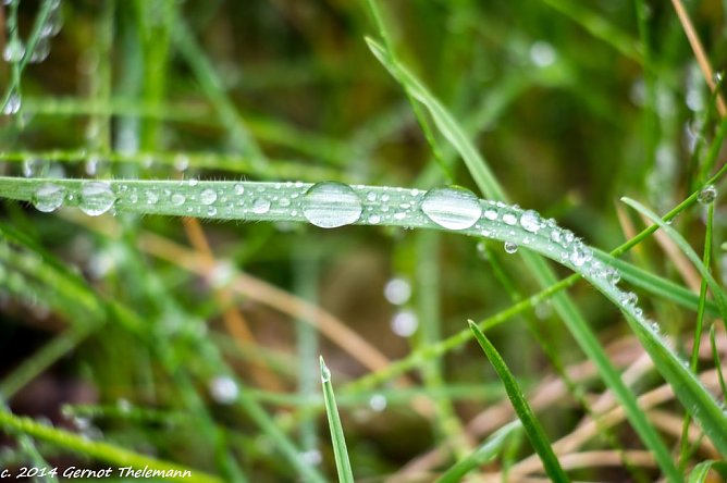Wetterbild (Foto: Gernot Thelemann) Wetterbild (Foto: Gernot Thelemann)