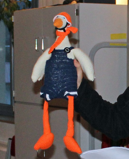 kn in Kürze (Foto: Karl-Heinz Herrmann) kn in Kürze (Foto: Karl-Heinz Herrmann)