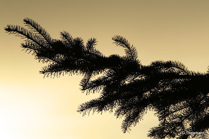 Wetterbild (Foto: Gernot Thelemann) Wetterbild (Foto: Gernot Thelemann)