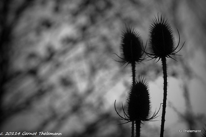 Wetter-Bild (Foto: Gernot Thelemann) Wetter-Bild (Foto: Gernot Thelemann)